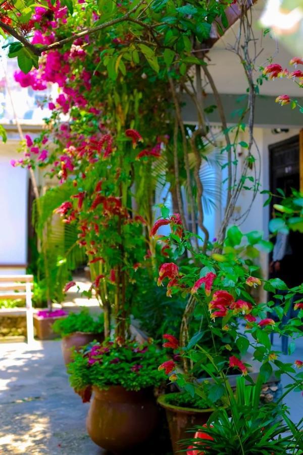 Garden Lodge Zanzibar Εξωτερικό φωτογραφία