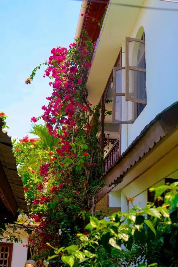Garden Lodge Zanzibar Εξωτερικό φωτογραφία